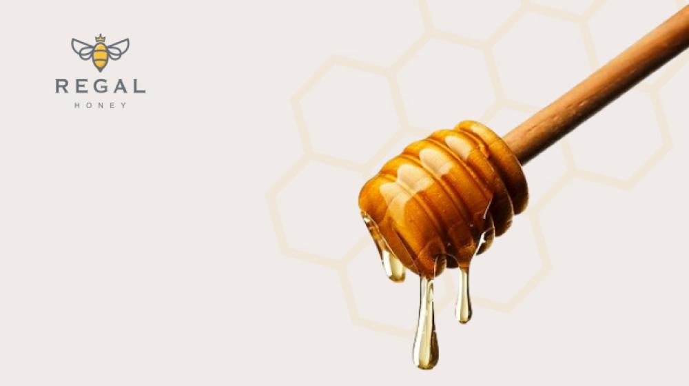 العسل… كنز الطبيعة منذ القدم