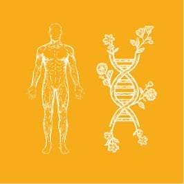 العسل الوظيفي