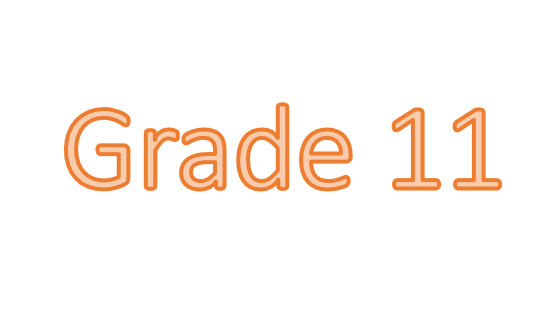 D-Grade11.Light