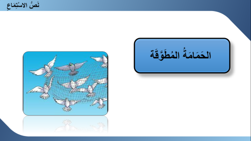 عرض لغتي انص الاستماع (الحمامة المطوقة) للصف الراب...