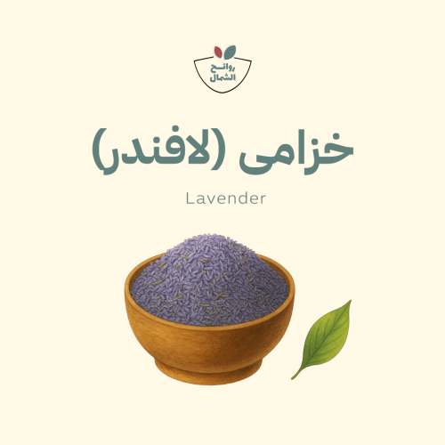 خزامى (لافندر)