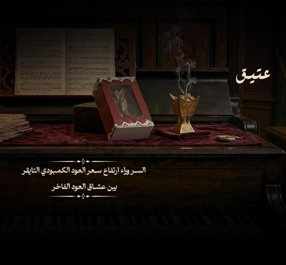 عود تايقر طبيعي