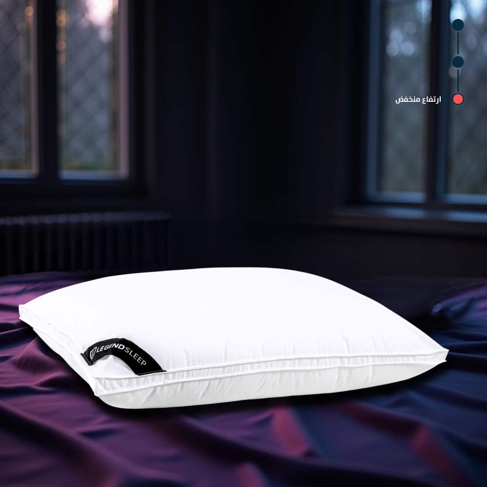 Dream Comfort Pillow 1000g