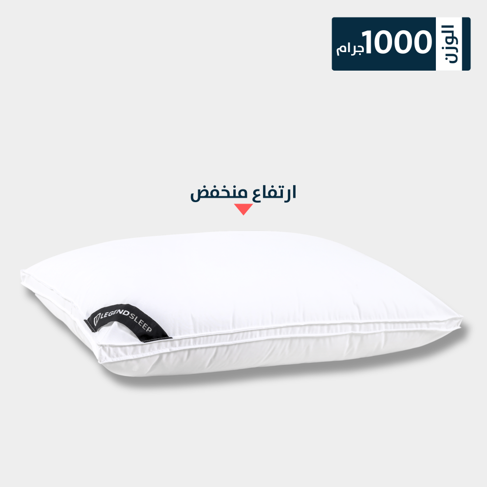 Dream Comfort Pillow 1000g