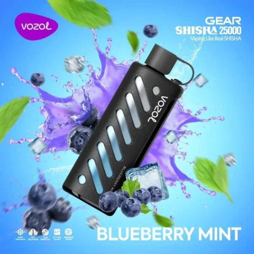 فوزول 25000  بلوبيري نعناع VOZOL Gear Shisha 25K Blueberry Mint