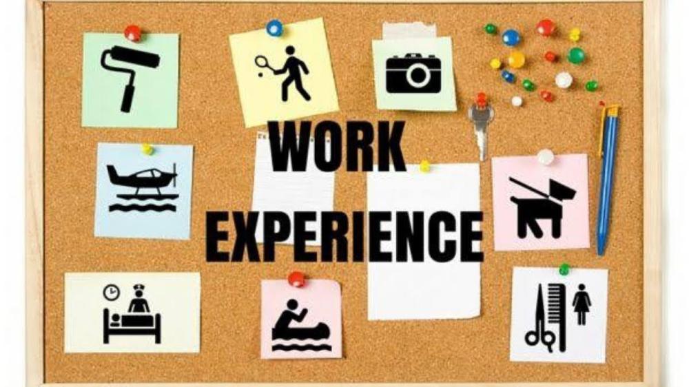 The Importance of Gaining Work Experience as a Student
