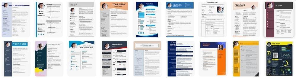 cv in english example