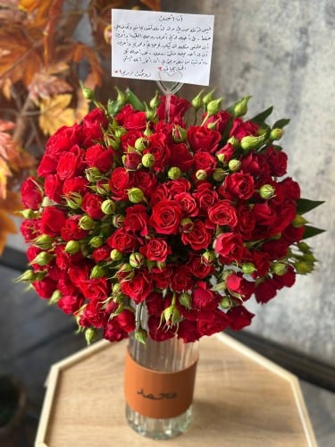 فازة حبي الأول والأخير