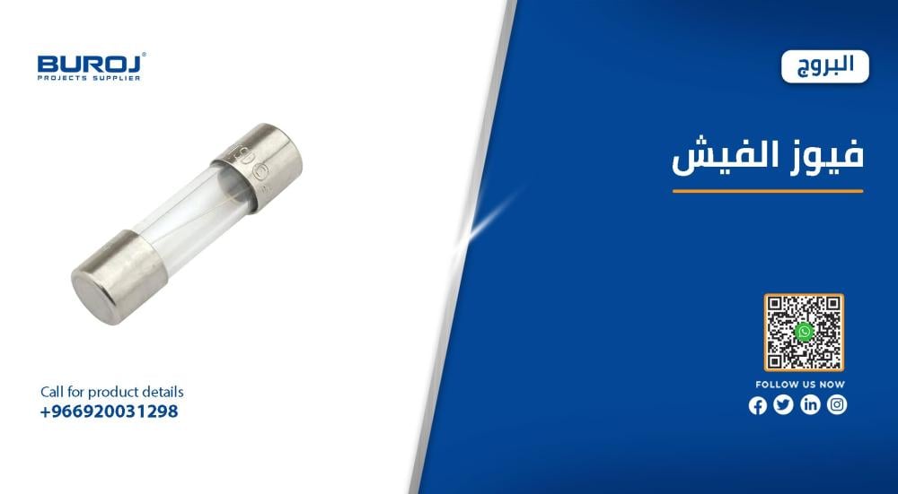 ما هي فيوز الفيش الكهربائية وأنواعها واستخداماتها