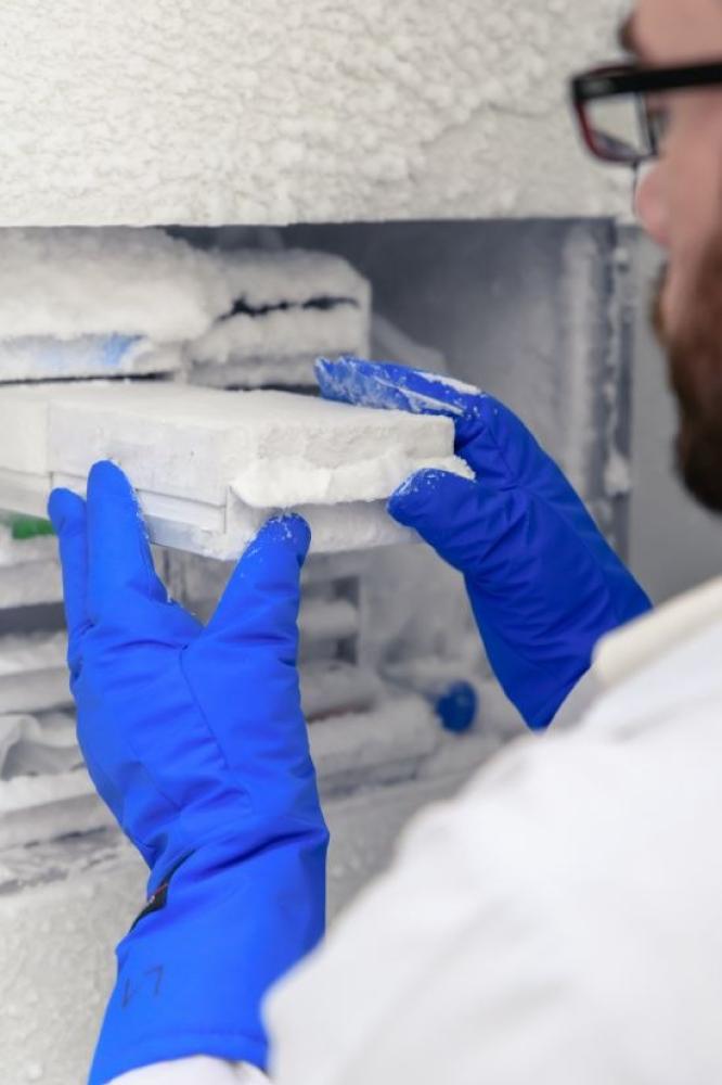 أنواع السيكا واستخداماتها -دليل منتجات سيكا السعودية 2026