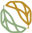 Machii