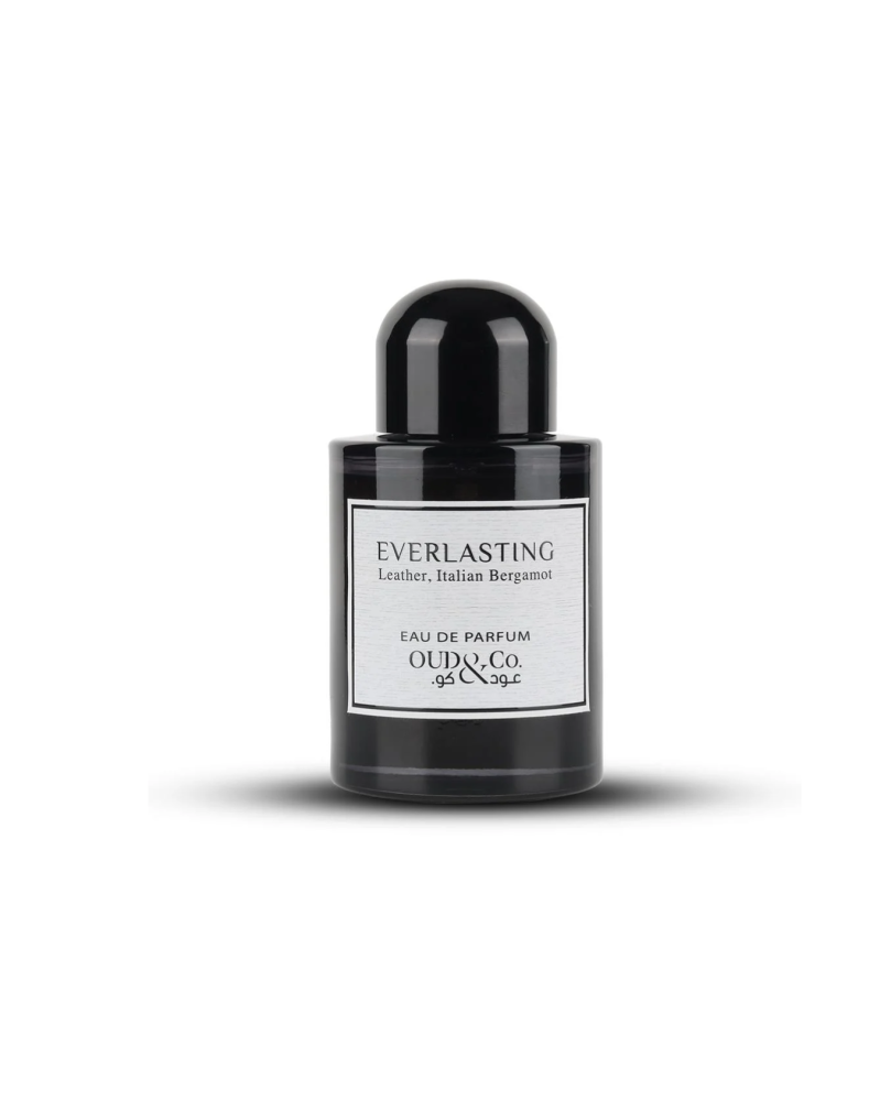 عطر  ايفرلا ستنق 100 مل