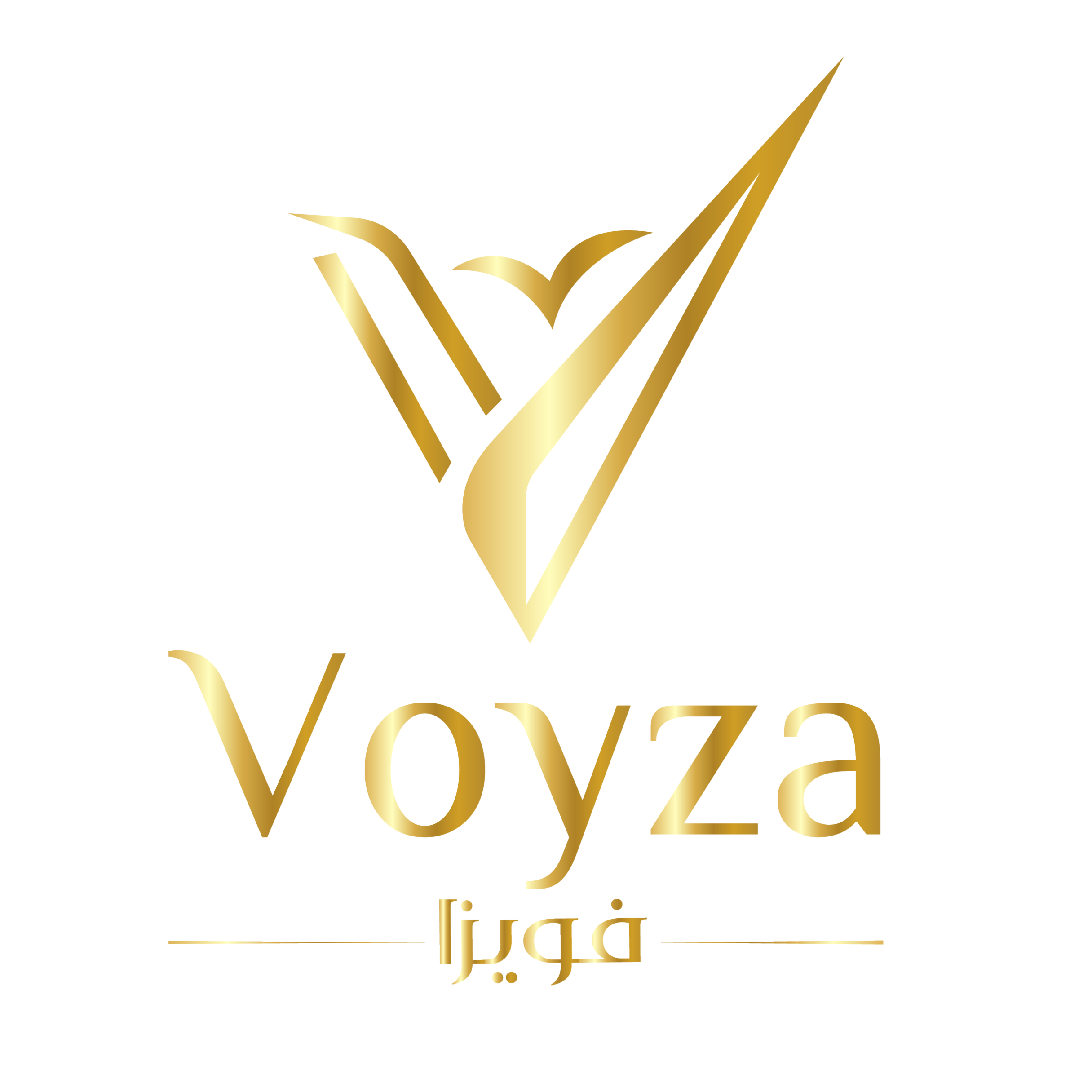 Voyza