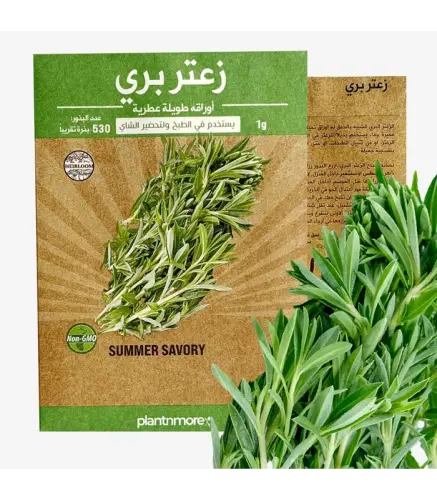 زعتر بري