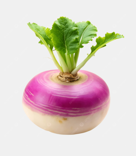 لفت