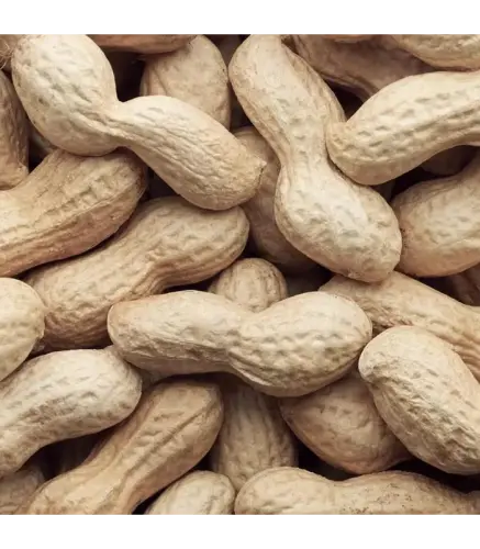 فول سوداني بالقشرة