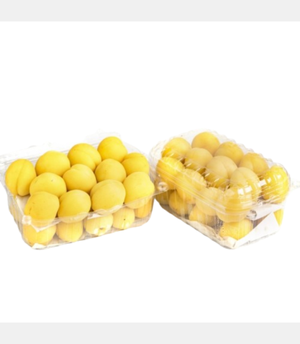 مشمش عجمي علبة وسط