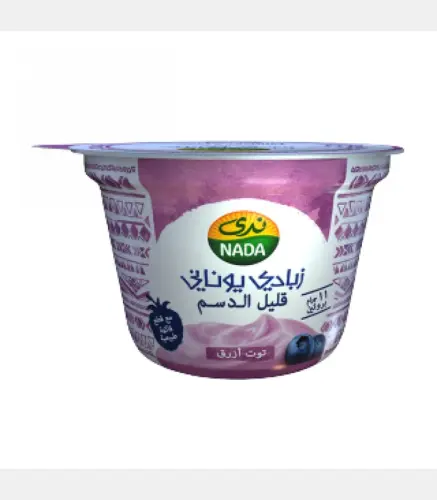 زبادي يوناني ندى توت ازرق 160 جم