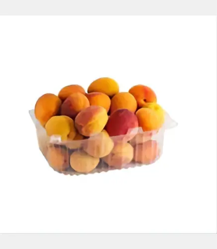 مشمش علبة