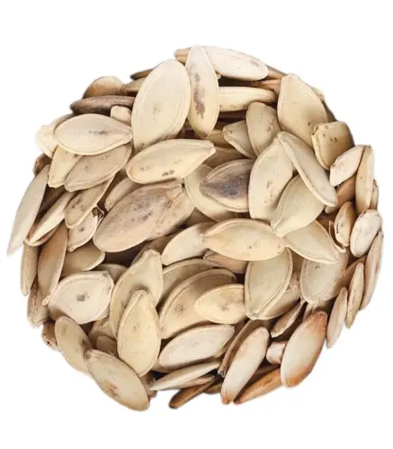 حب الكوسة