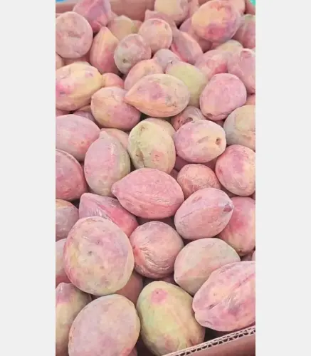لوز طازج