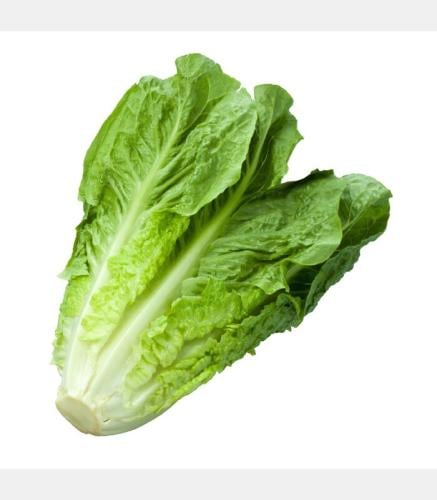 خس