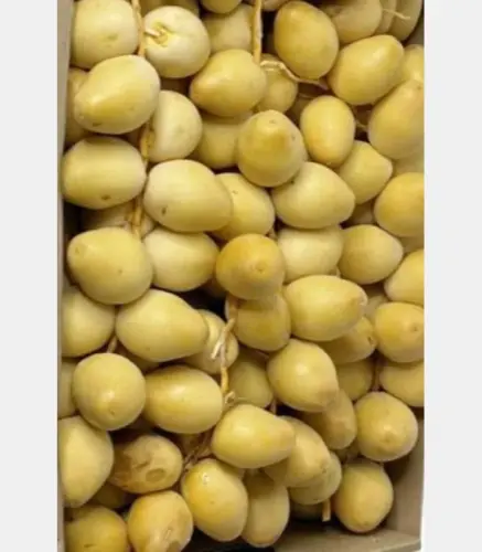 رطب برحي