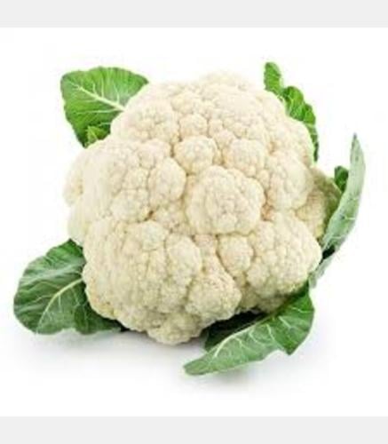 زهرة