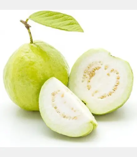جوافة كيلو (م)