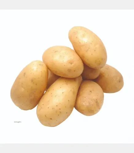 بطاطس