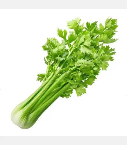 كرفس