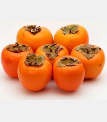 كاكا