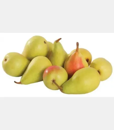 كمثرى اسباني
