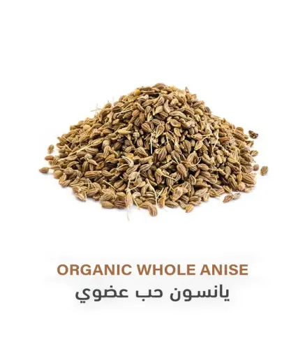 يانسون