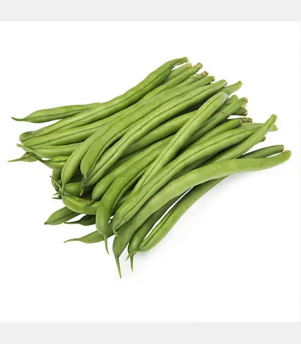 لوبيا