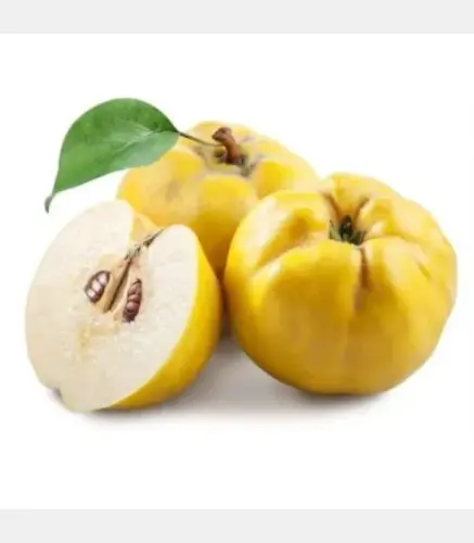 سفرجل