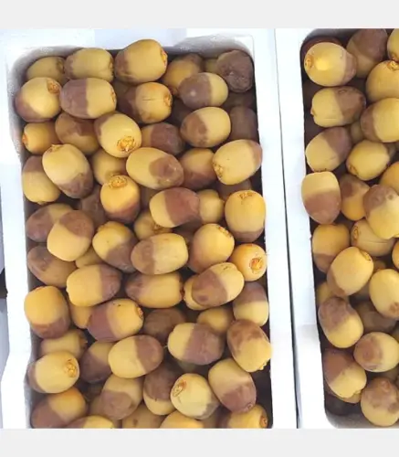 رطب روثانة