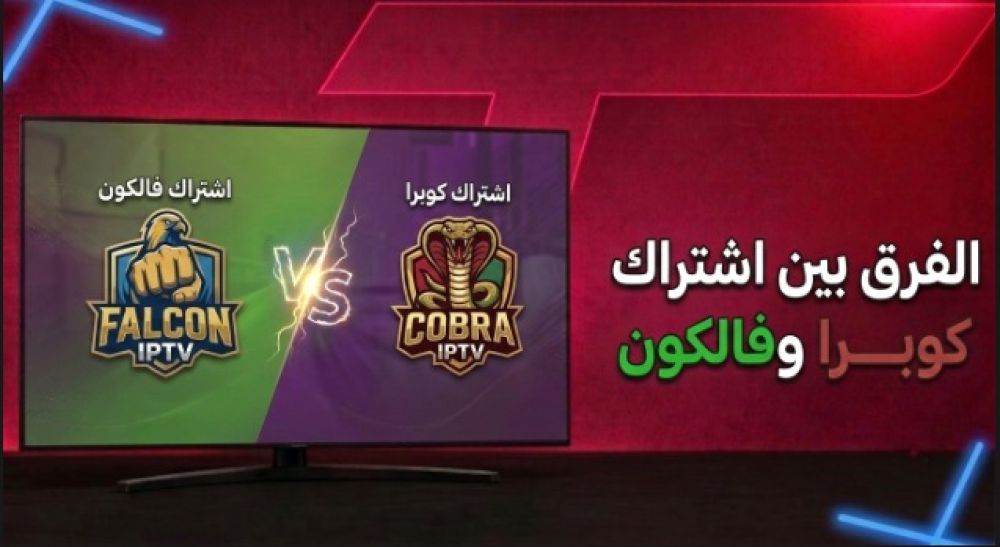 الفرق بين اشتراك فالكون وكوبرا: أيهما يستحق وقتك ومالك؟