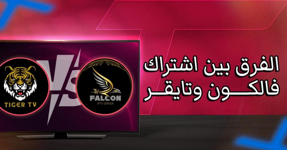 الفرق بين اشتراك فالكون وتايقر أسرار خفية لا يعرفها الكثير