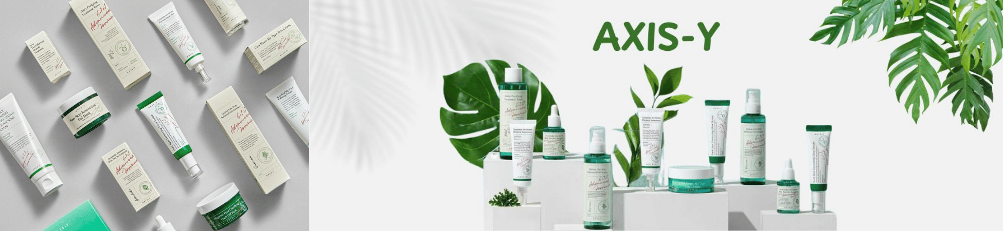 AXIS-Y
