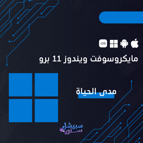 ويندوز 11 برو | windows 11 pro