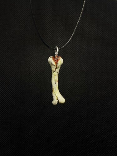 Bone Necklace