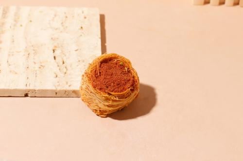 عش البلبل باللوتس - Bulbul nest with lotus