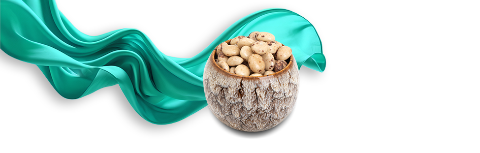 Category header image