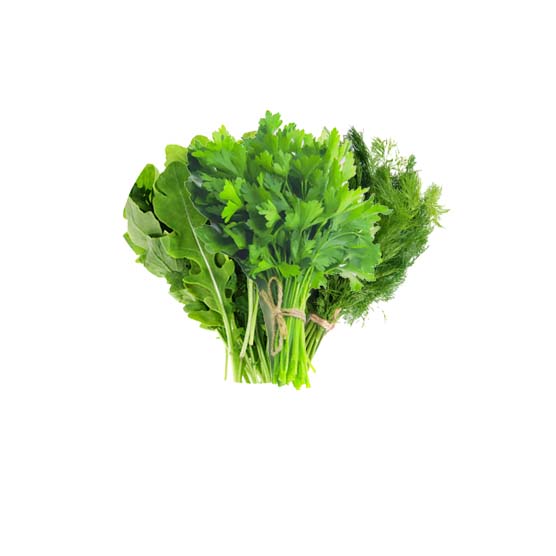 ورقيات عضوية