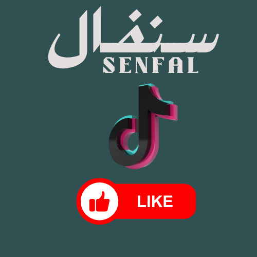 لايكات تيك توك
