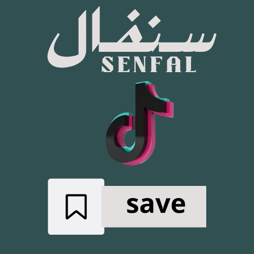 سيف تيك توك