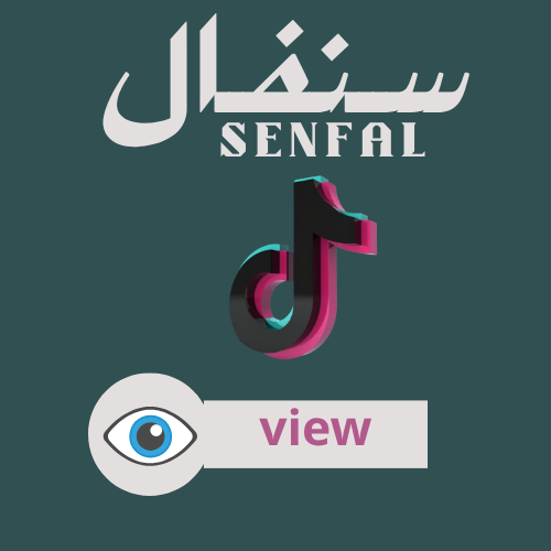 مشاهدات تيك توك