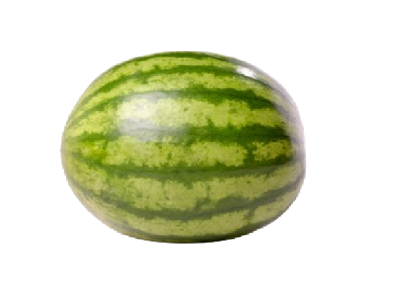 مبسط الحبحب
