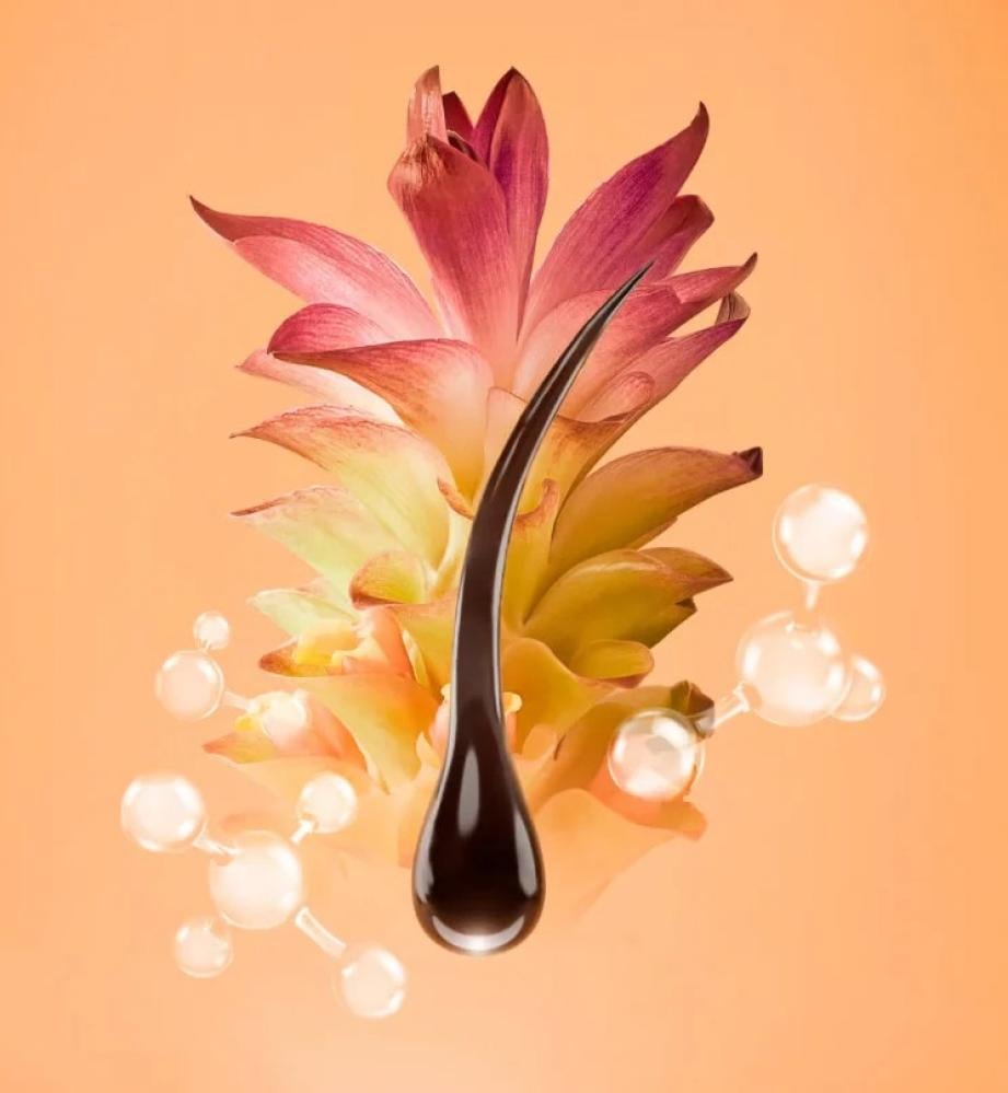 Capilia Longa  كابيليا لونجا